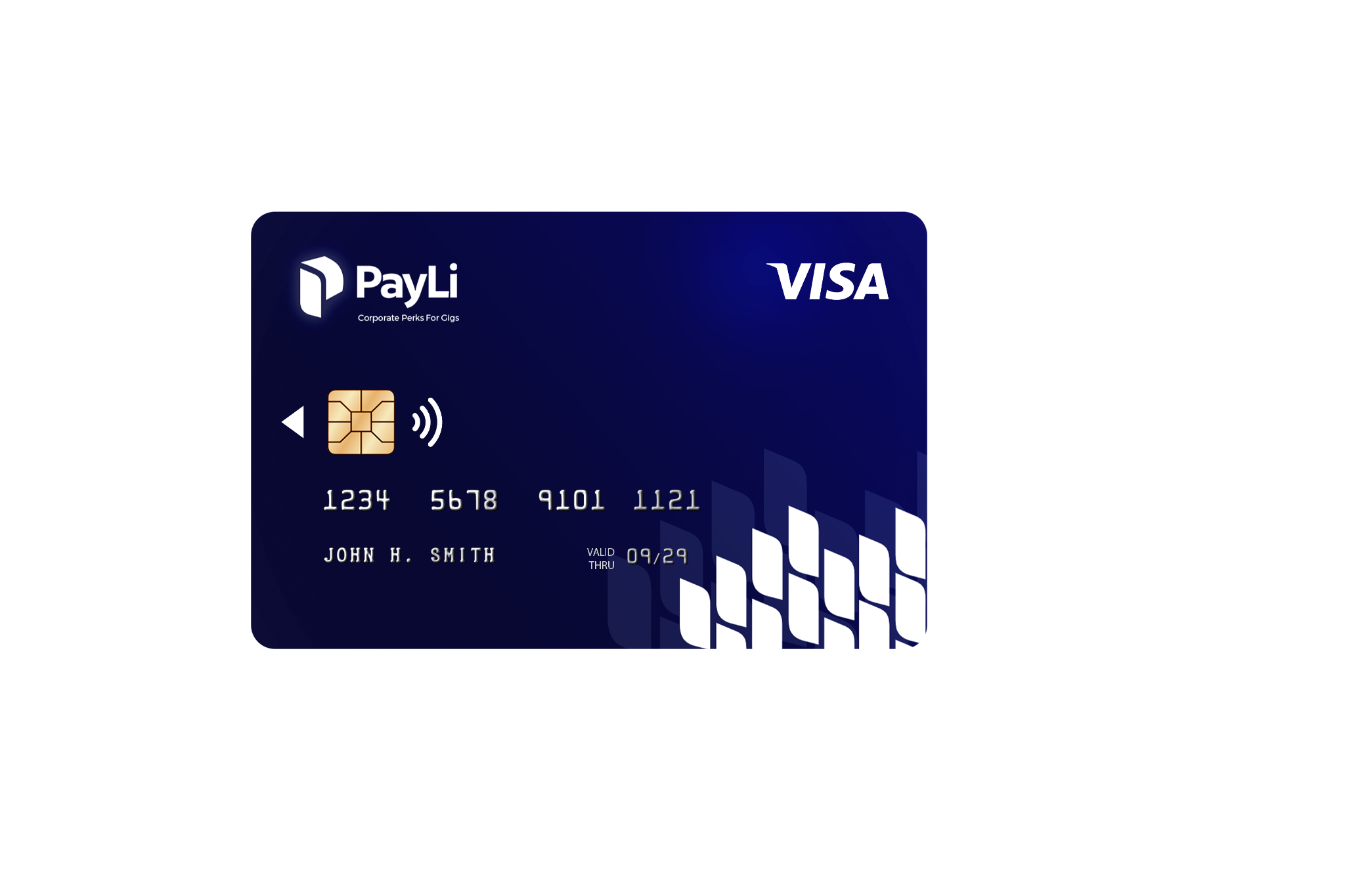 PayLi Visa Card